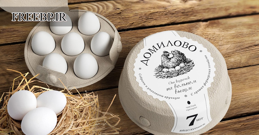 طرح توجیهی تولید تخم مرغ