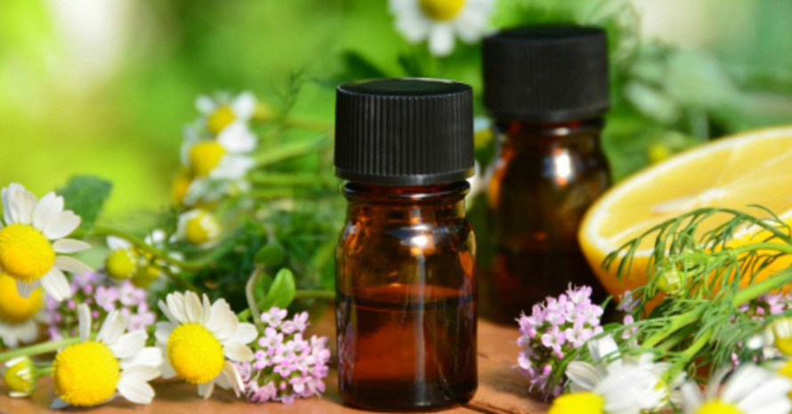 دانلود طرح توجیهی جدید